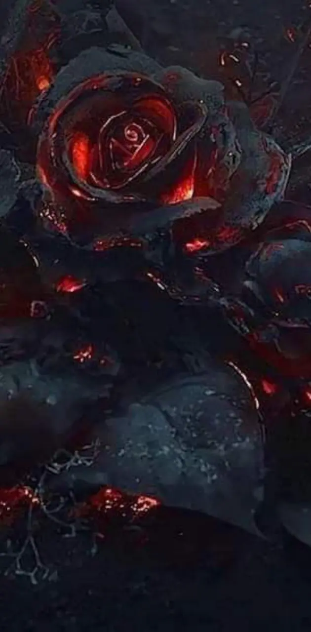 Roses on fire