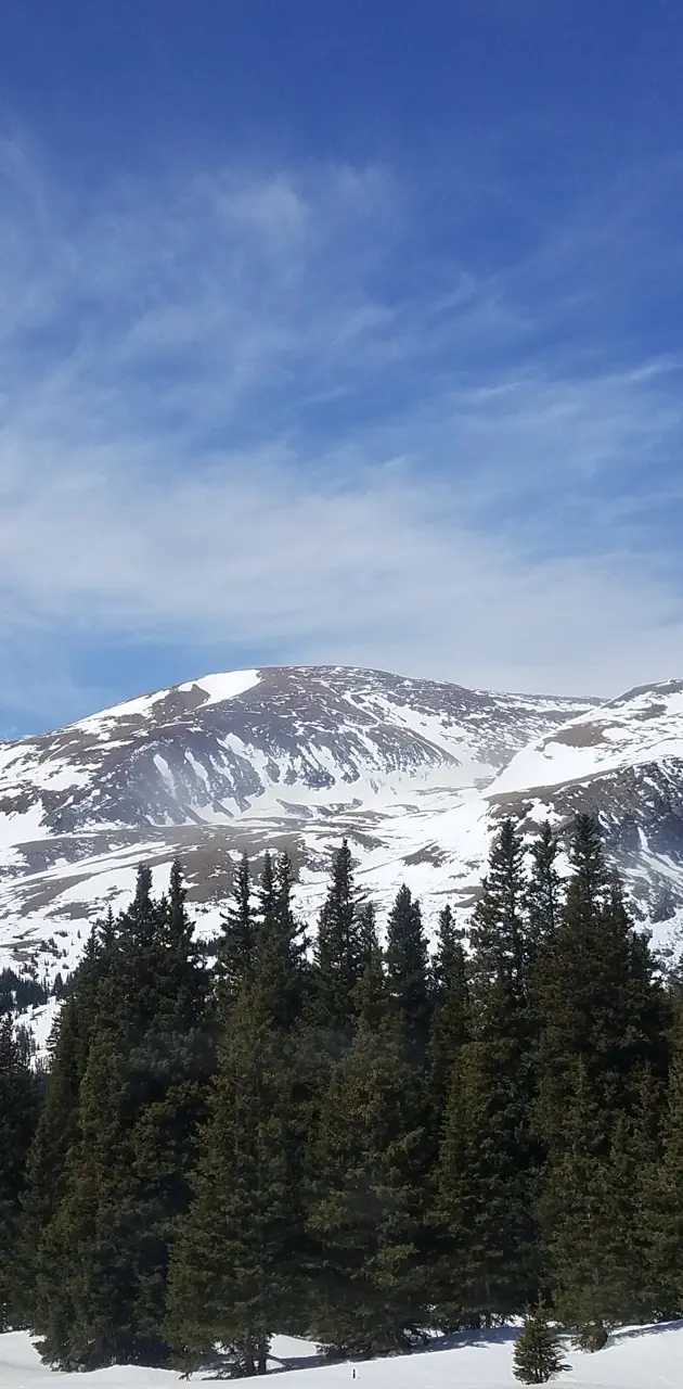Colorado Mountains 