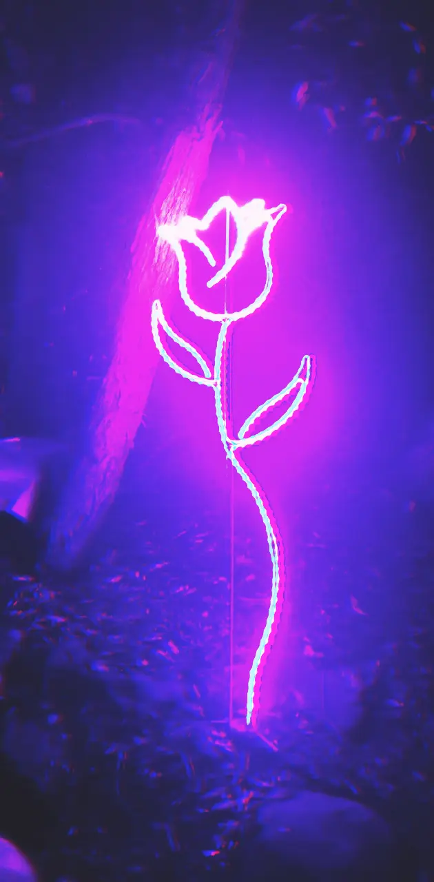 Aesthetic rose neon 