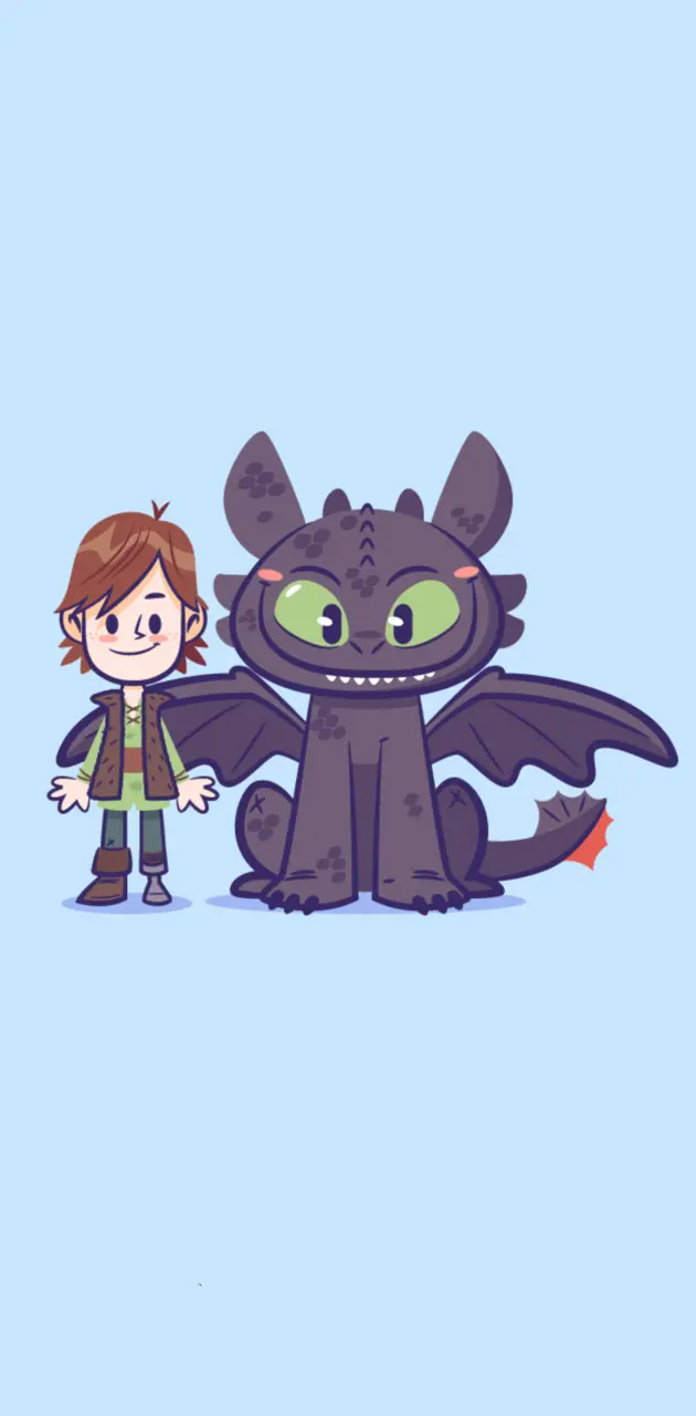 Hiccup Toothless
