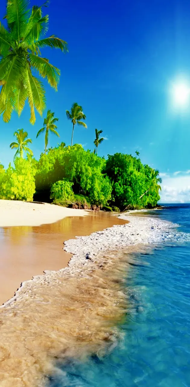Tropical   Beach