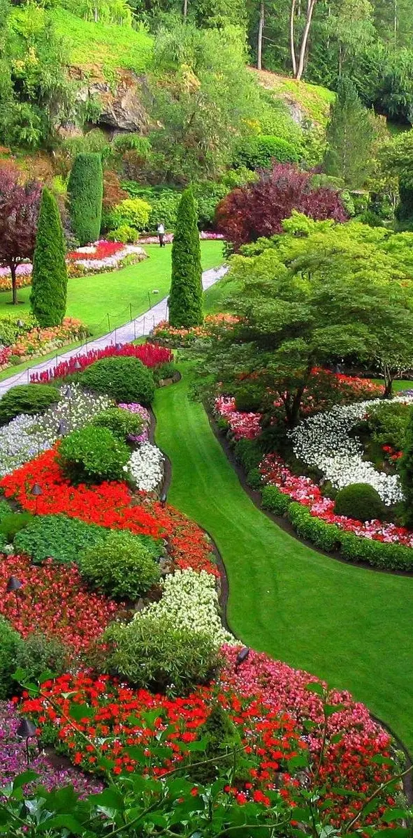 Colorful Garden