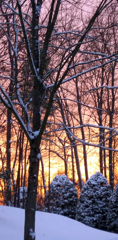 Snowy Sunset