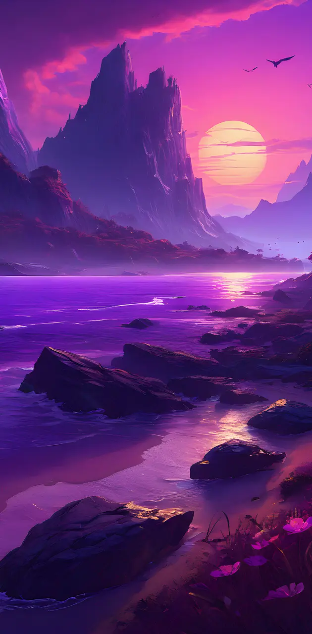 a rocky beach with a sunset