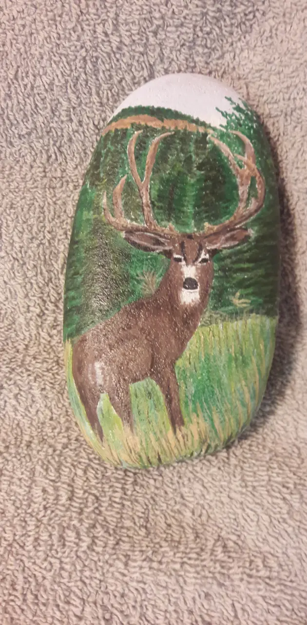 Deer painted on rock