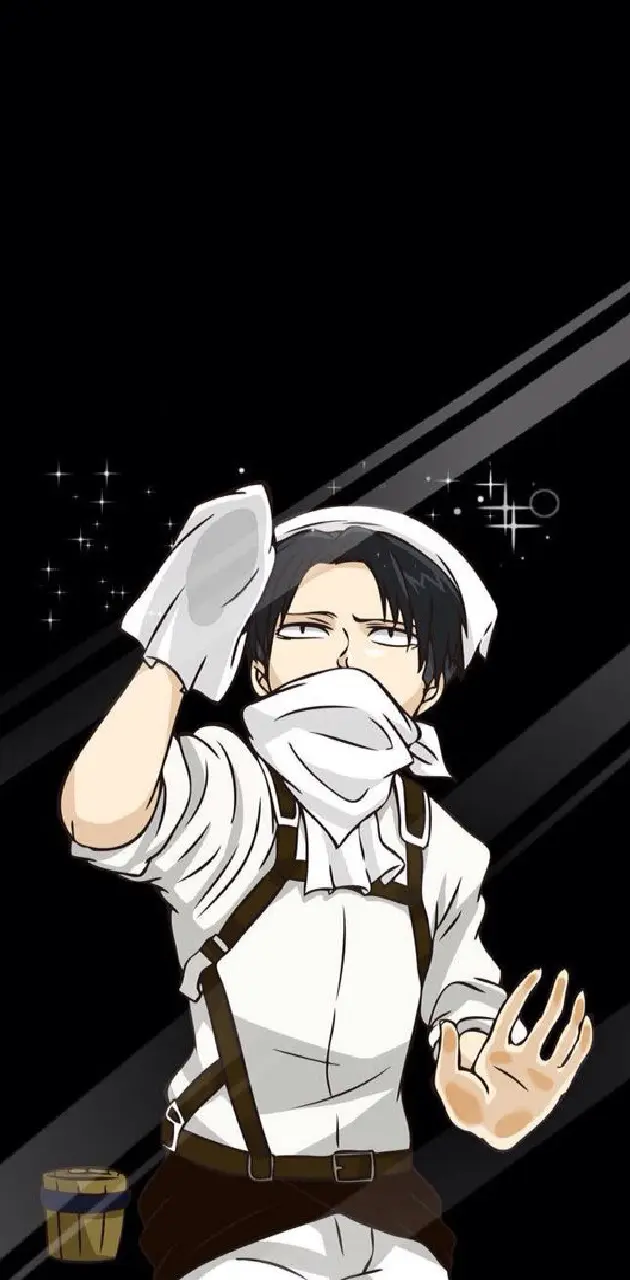 Levi cleaning screen