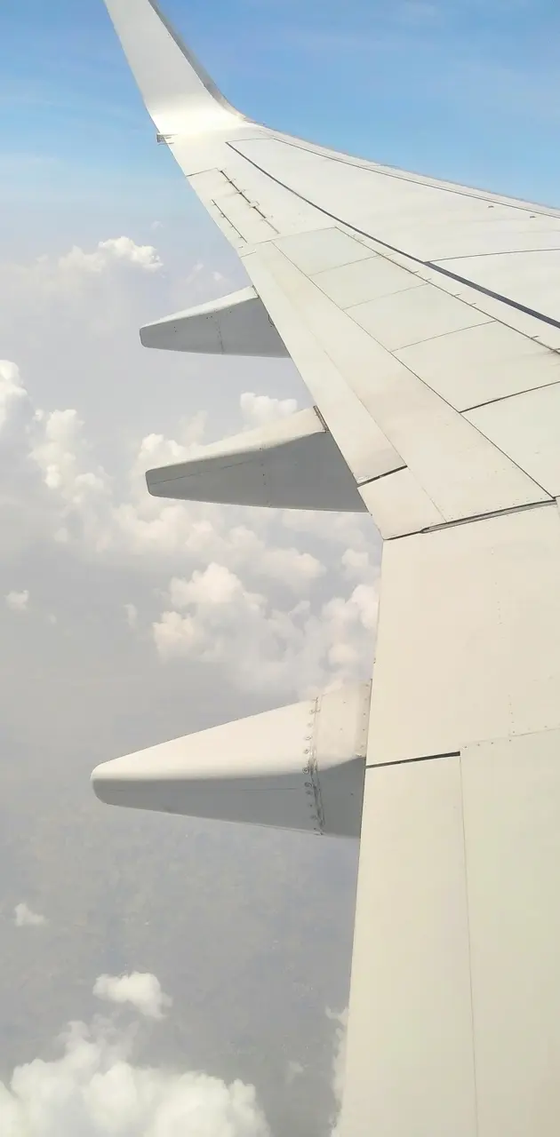 Aeroplane wing 