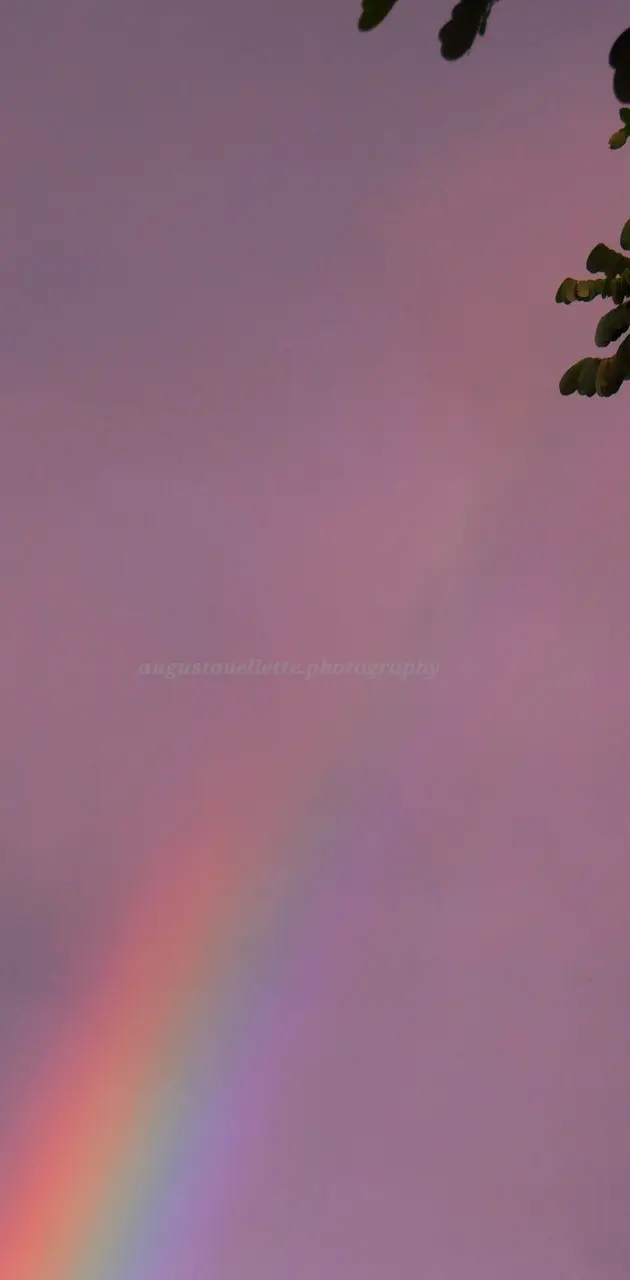 Over the rainbow