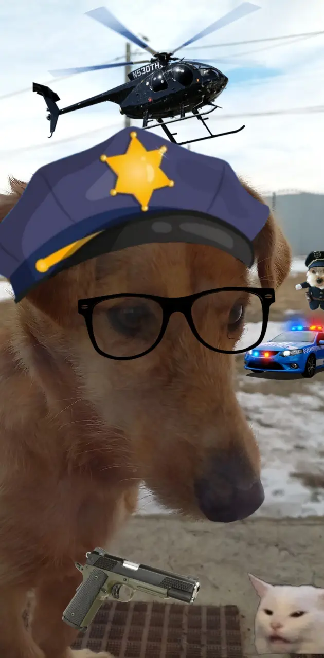 Patricia the police he