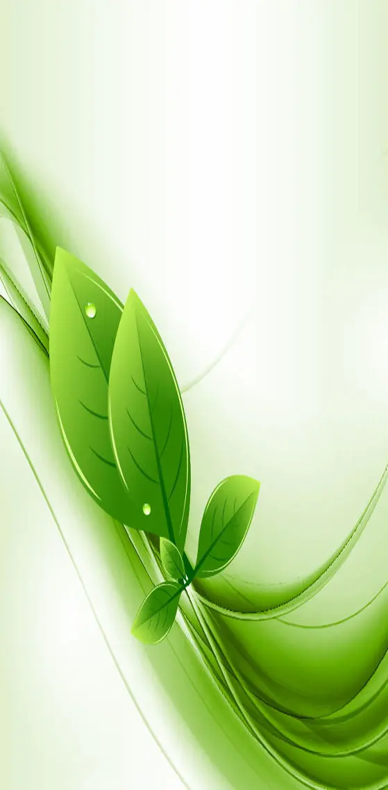 Green  Leaf