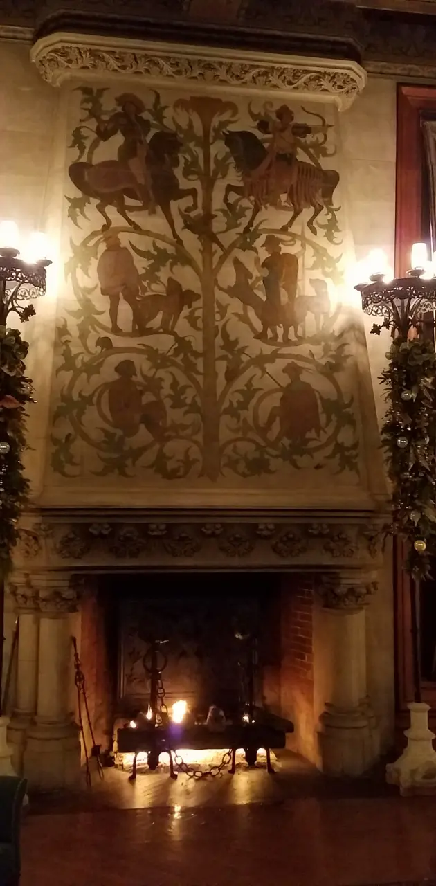 Biltmore Fireplace