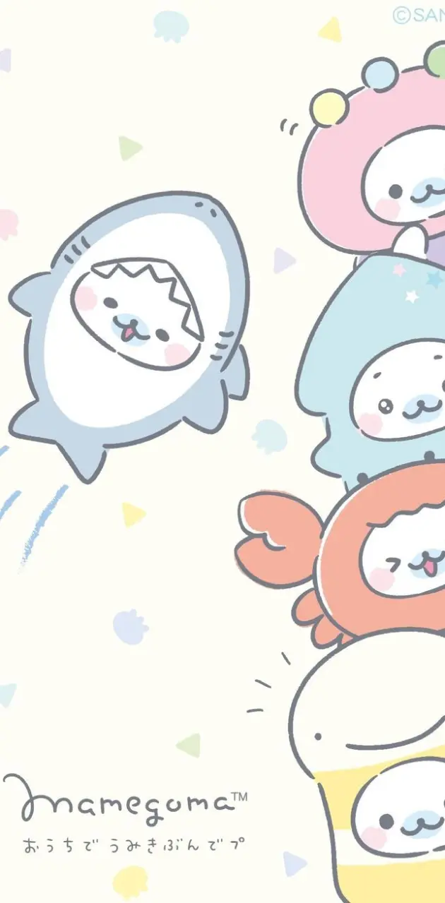 Cute seals