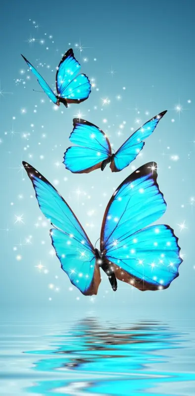 Glistening butterfly