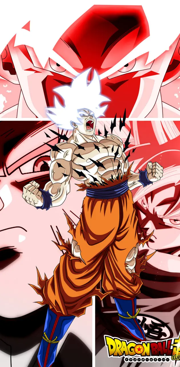 Goku ultra instinct