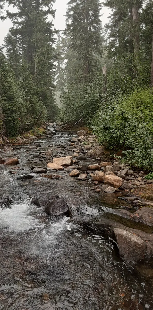 Mount Rainier Creek