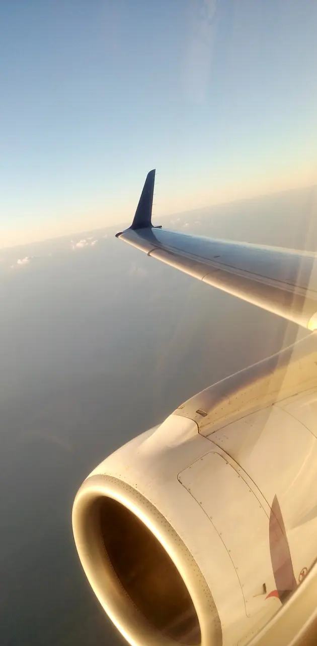Flight view 