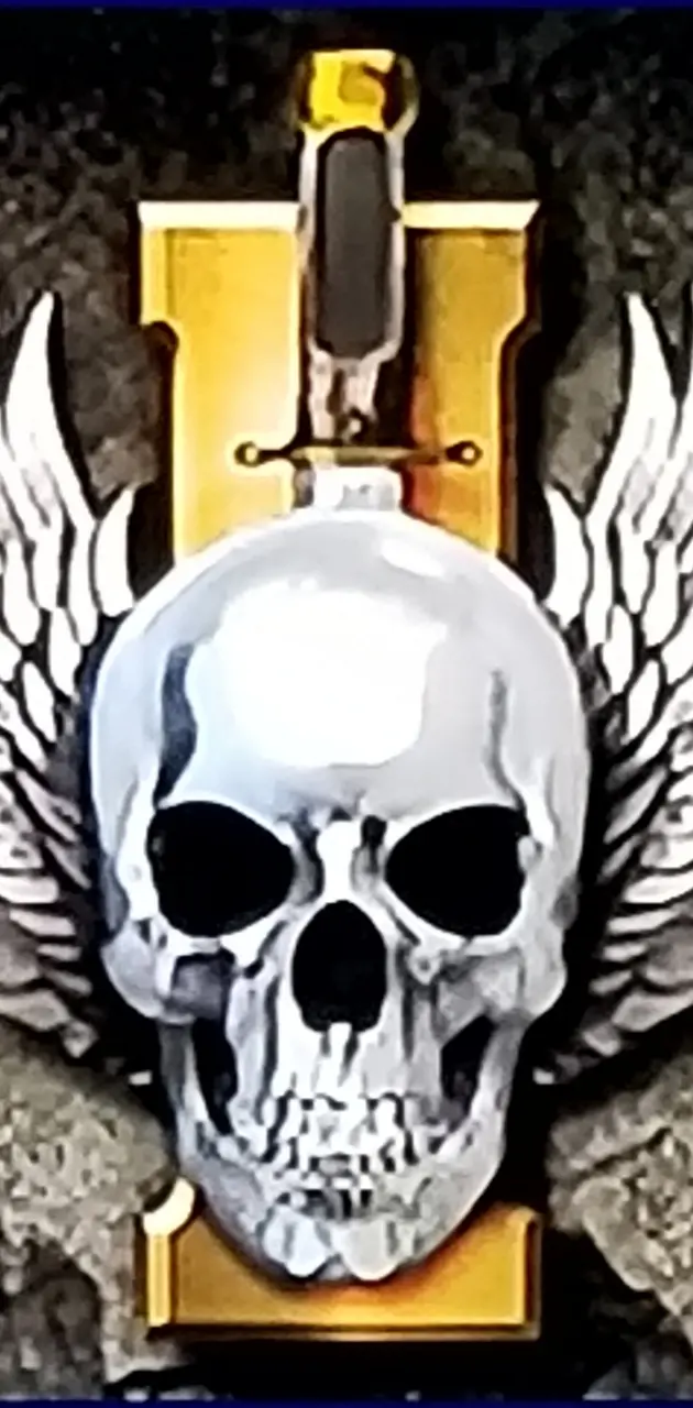 Wings Skull