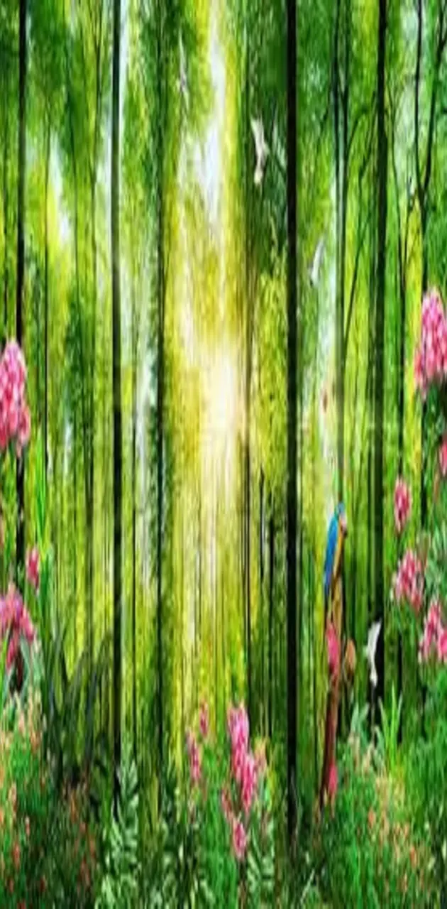 Forest Wallpaper 