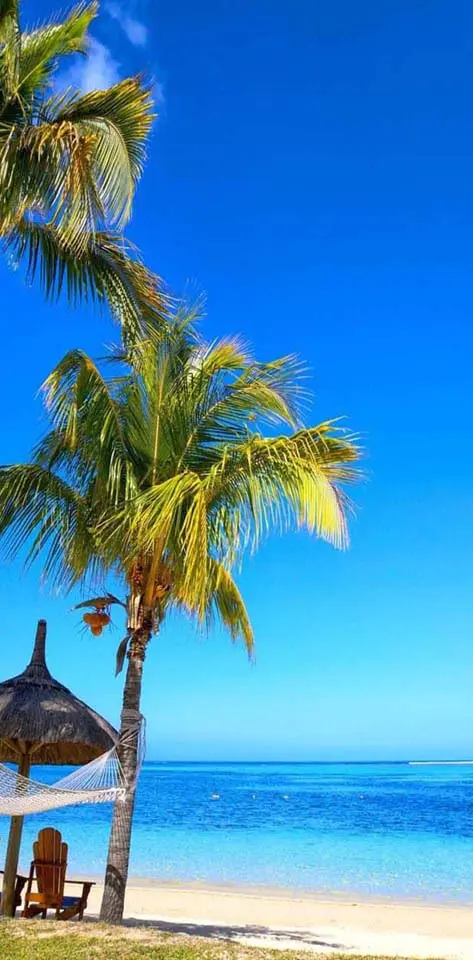 Paradise Palm Beach