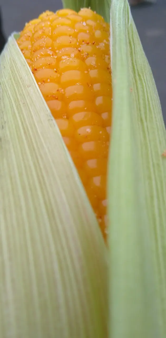 Corn wallpaper by udith23 - Download on ZEDGE™ | a6be