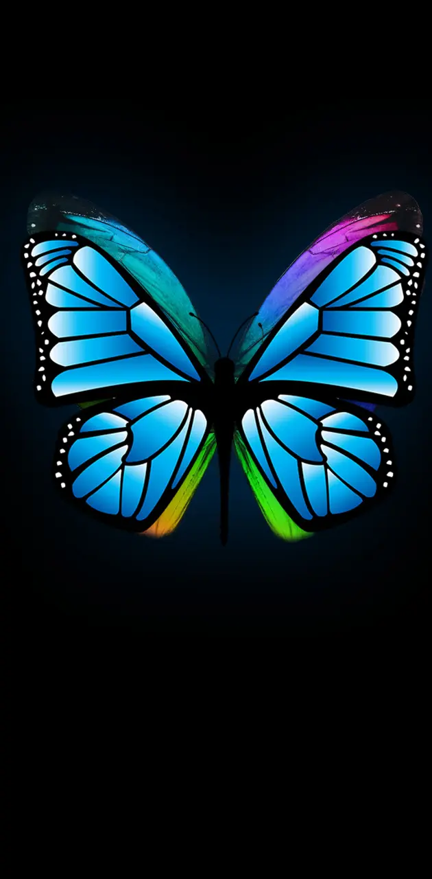 Beauty Butterfly