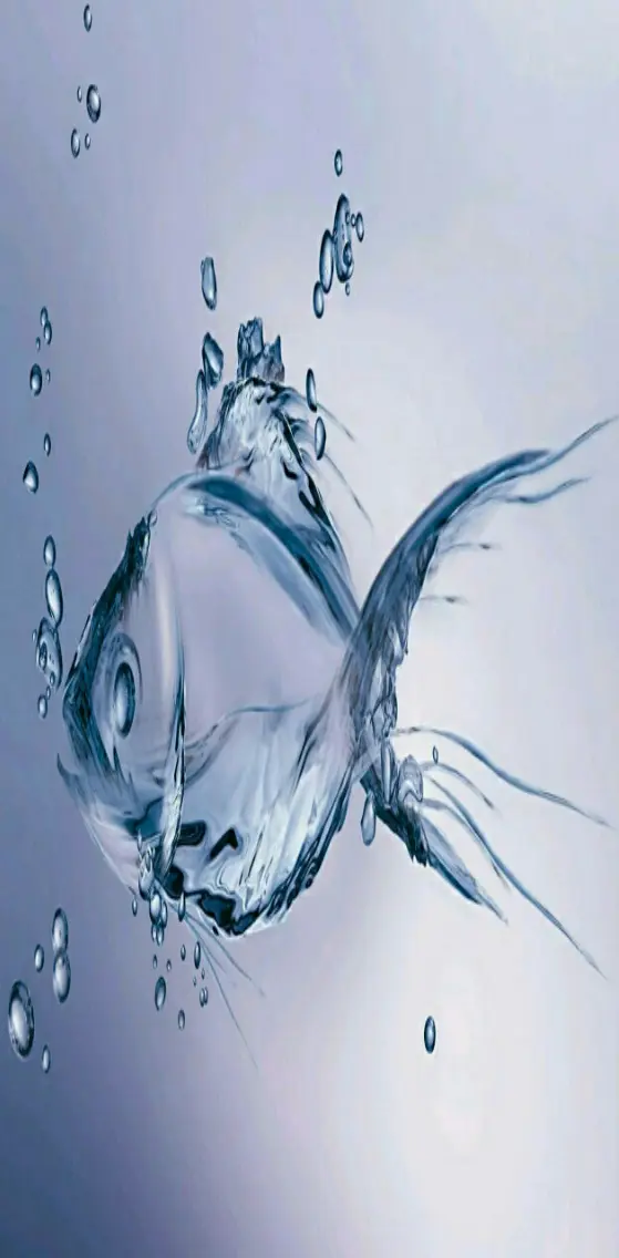 Fish 3d image