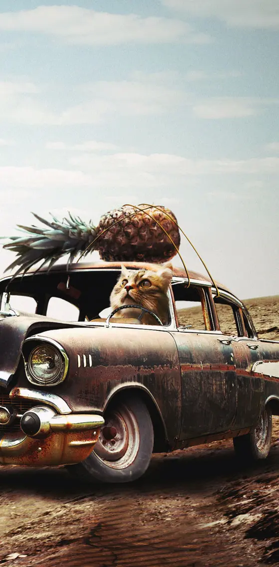 cat car pineapple