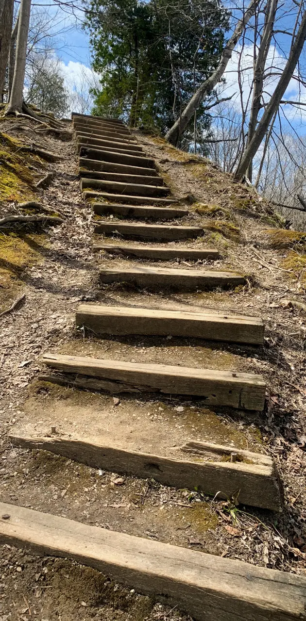 Natures Stairs