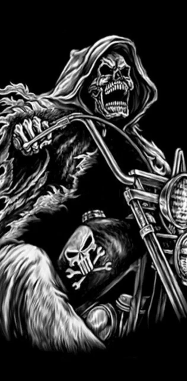 Skull Biker wallpaper by Mr_LazY_ - Download on ZEDGE™ | ca55