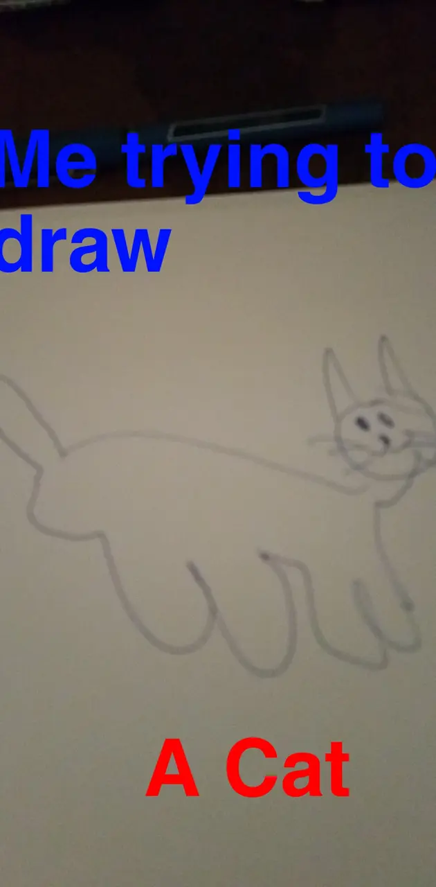 Trying to draw a cat