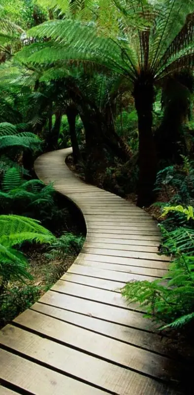 Green Path