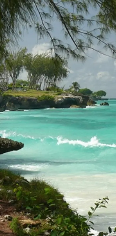 Barbados Shore