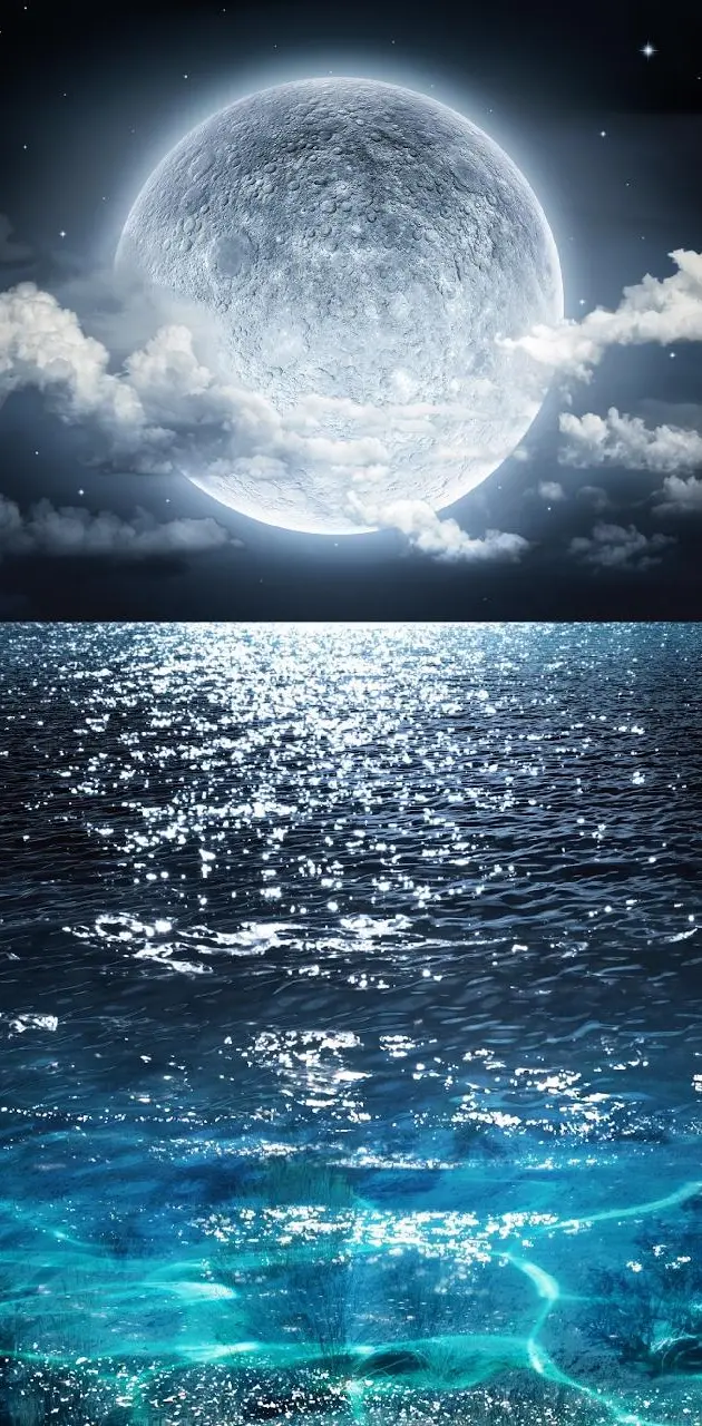 Moonset Ocean