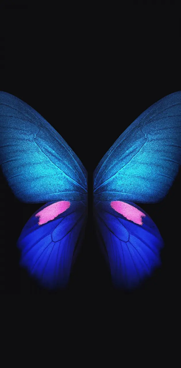 Blue Butterfly 4K wallpaper by Pramukh07 - Download on ZEDGE™ | daf5