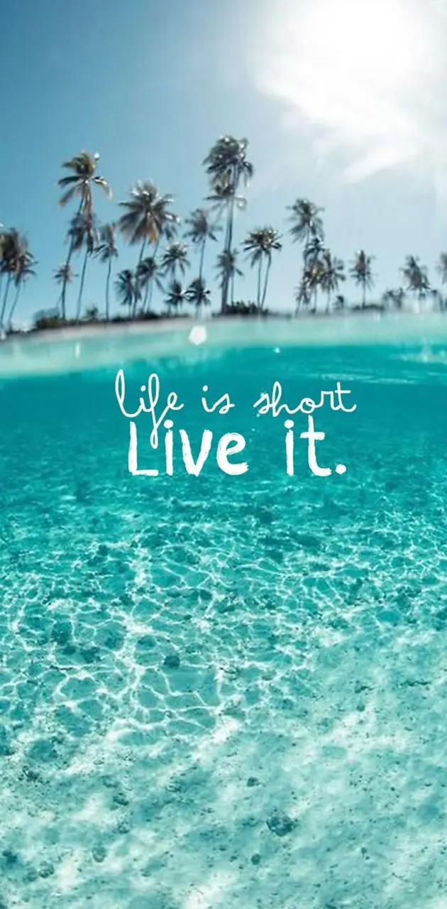 Live it