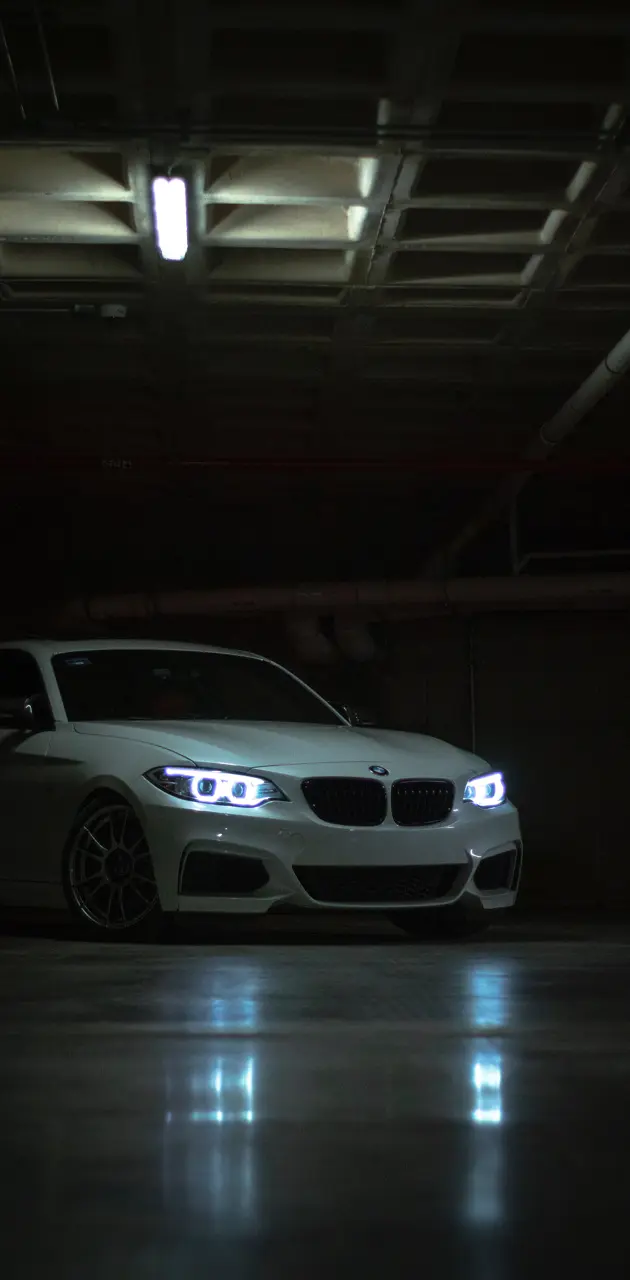 BMW in the garage.