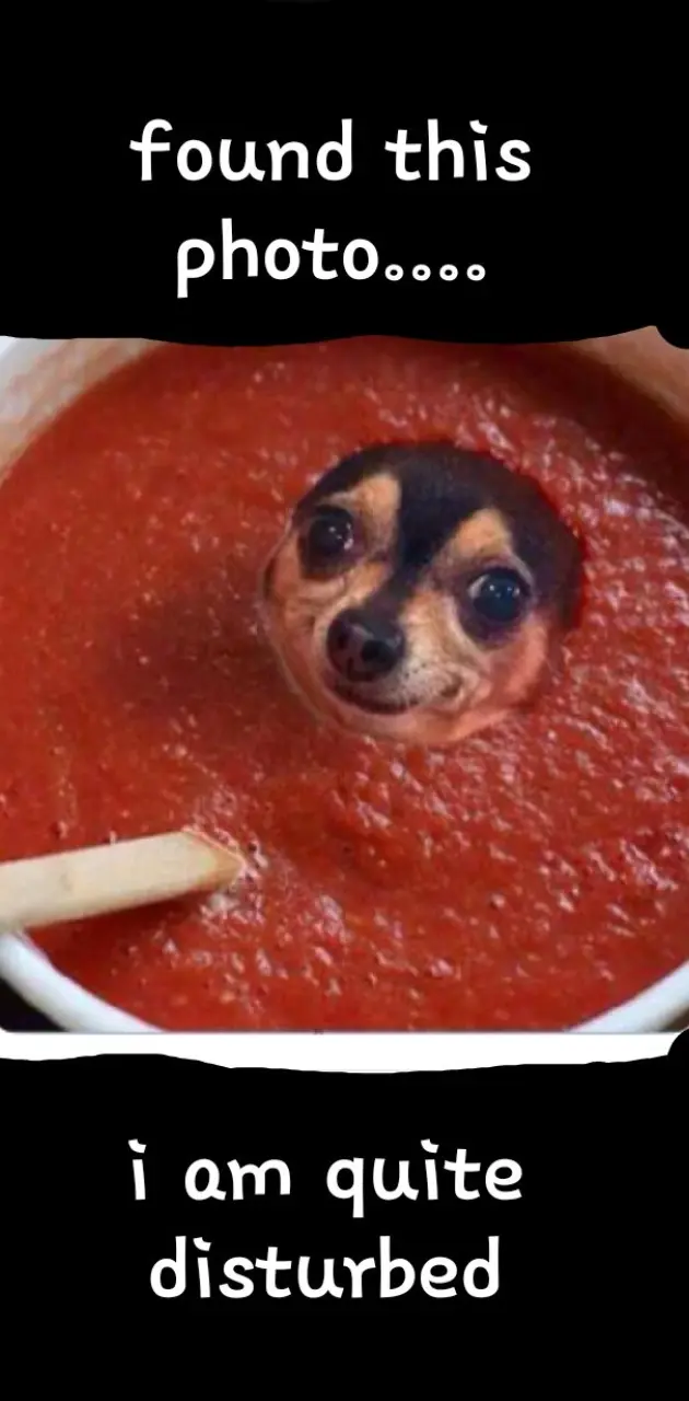 Dog sauce