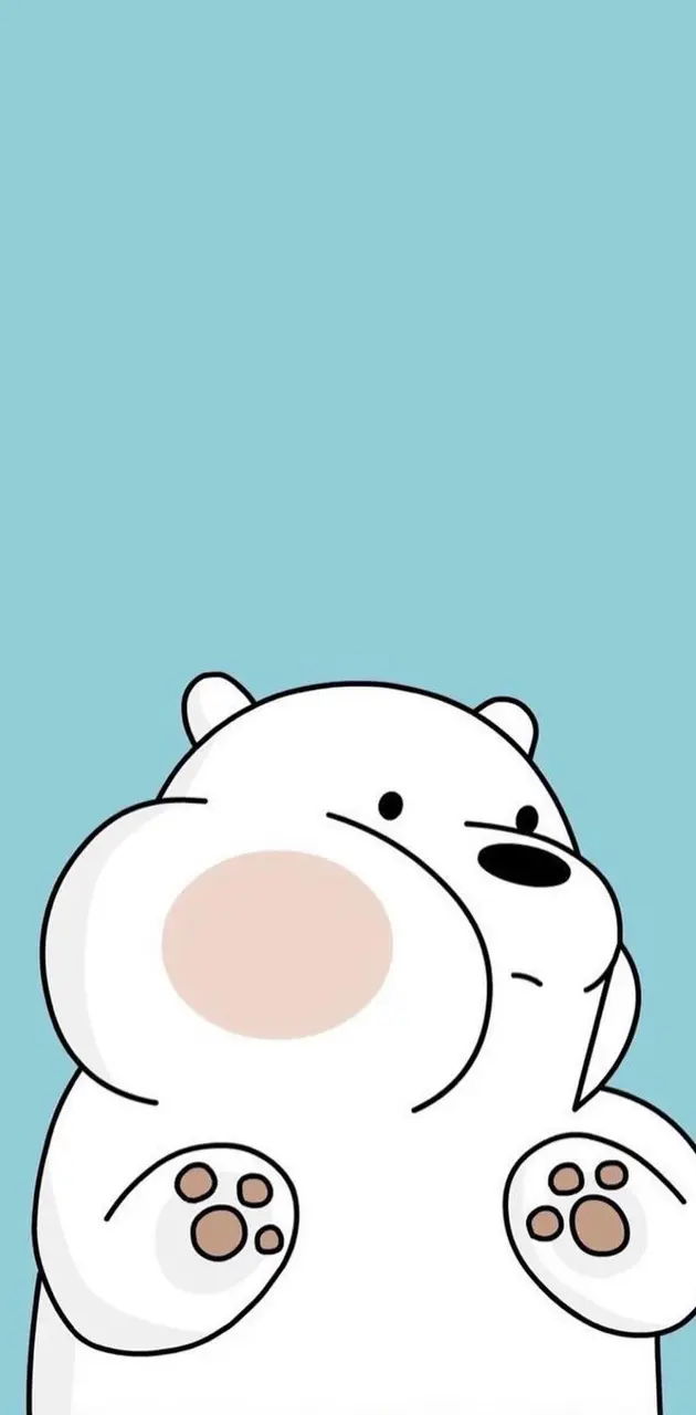 Ice bear 