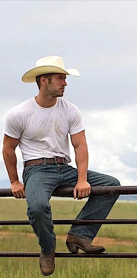 Fence Cowboy