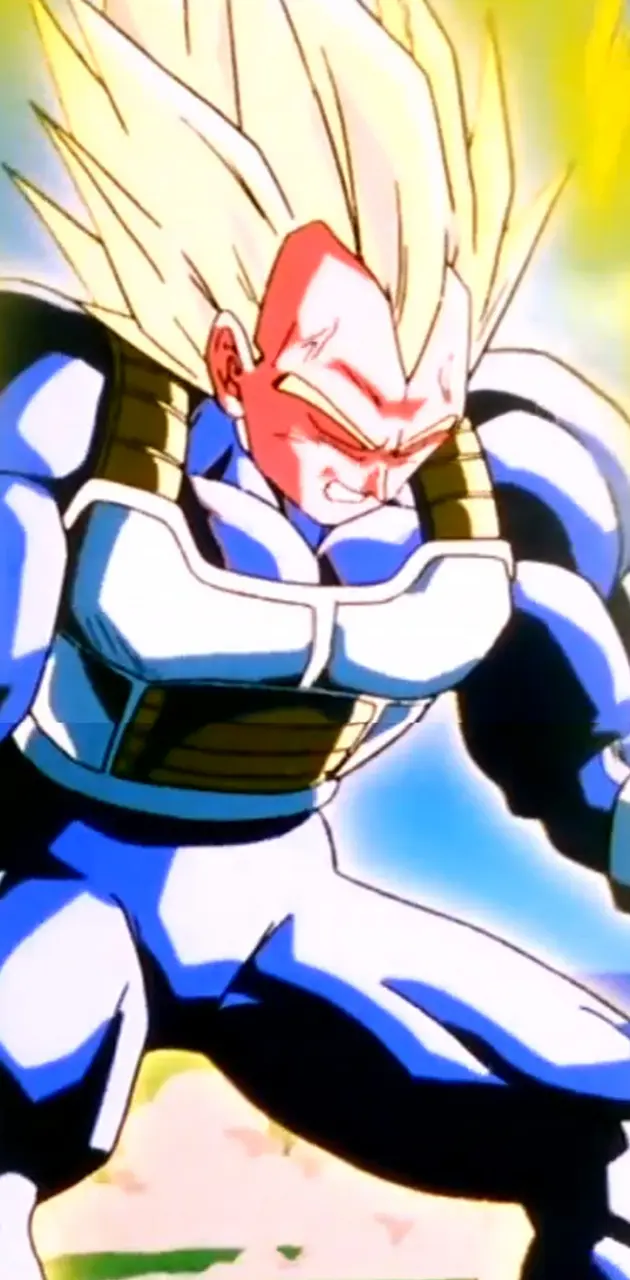 Vegeta Ascends