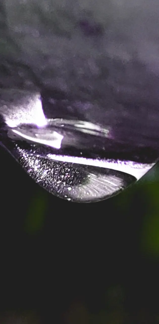Purple Droplet 