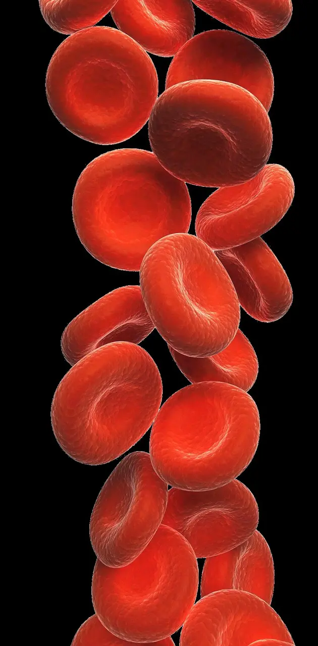 Blood Cells Too