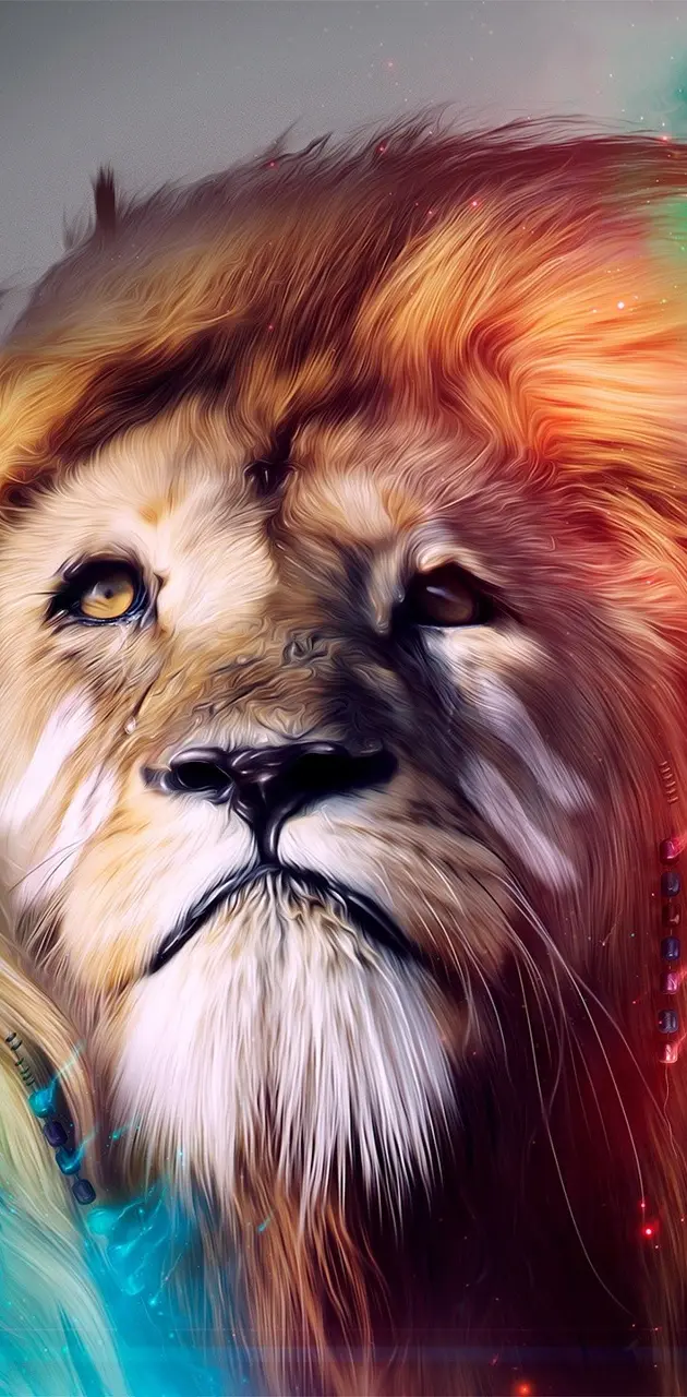 Lion colorful FullHD