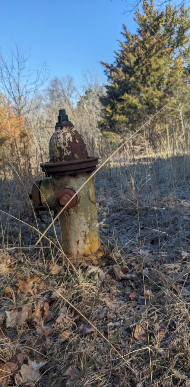 Rusty hydrant 