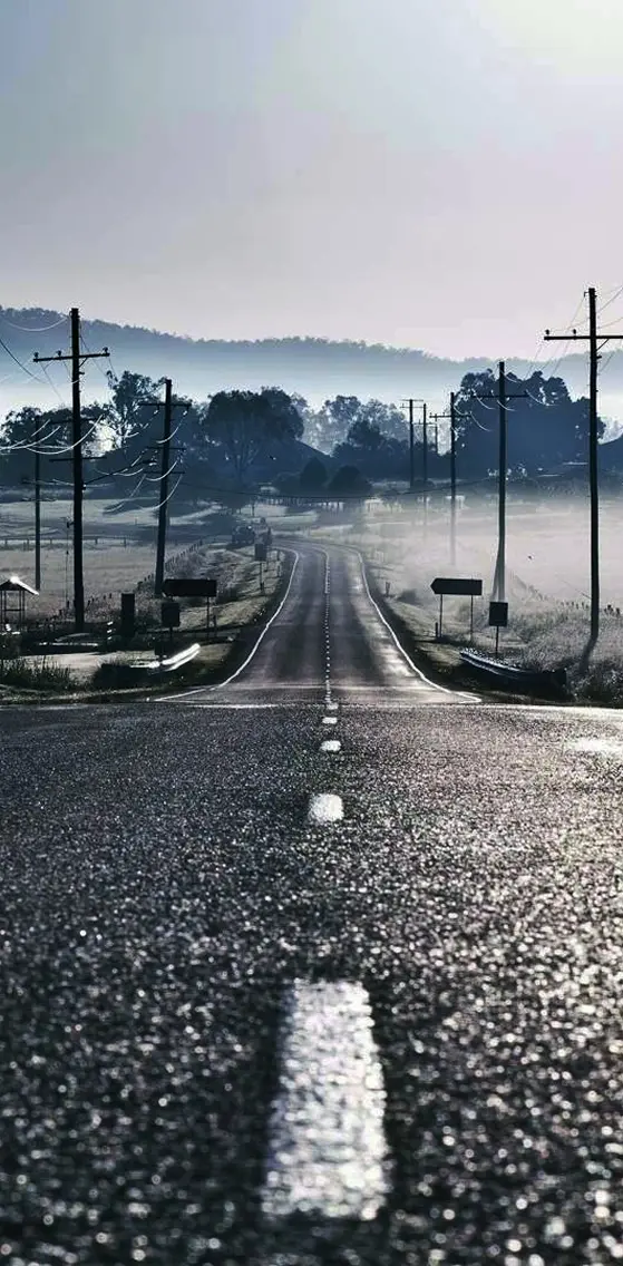 Road to fog