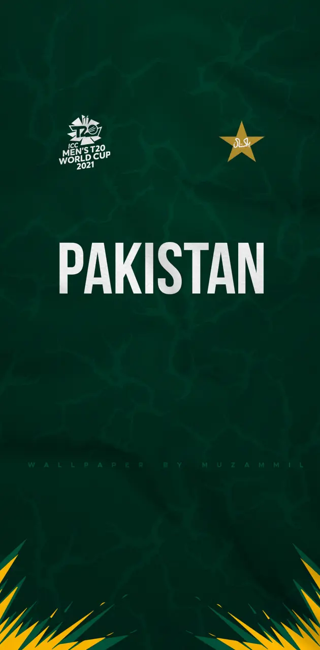 Pakistan Cricket T20