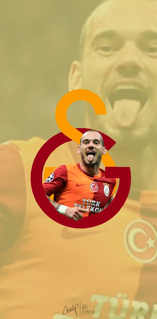Wesley Sneijder WP
