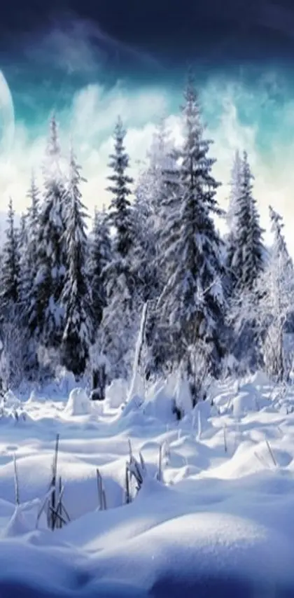 Landscape Winter