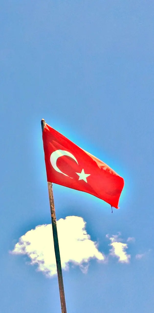 Turkbayragi
