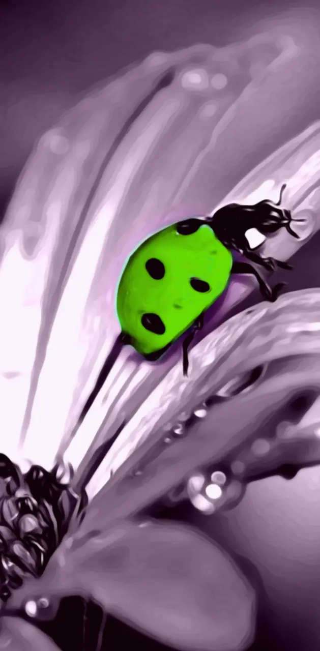 Green ladybug